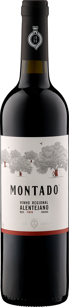 Montado VR