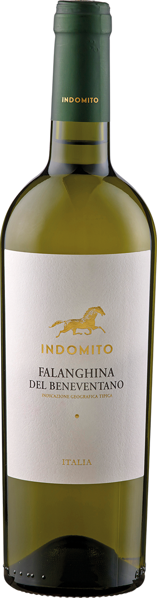 Falanghina del Beneventano 'Indomito' IGT