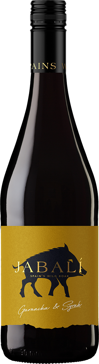 Agostón Garnacha - Syrah DO